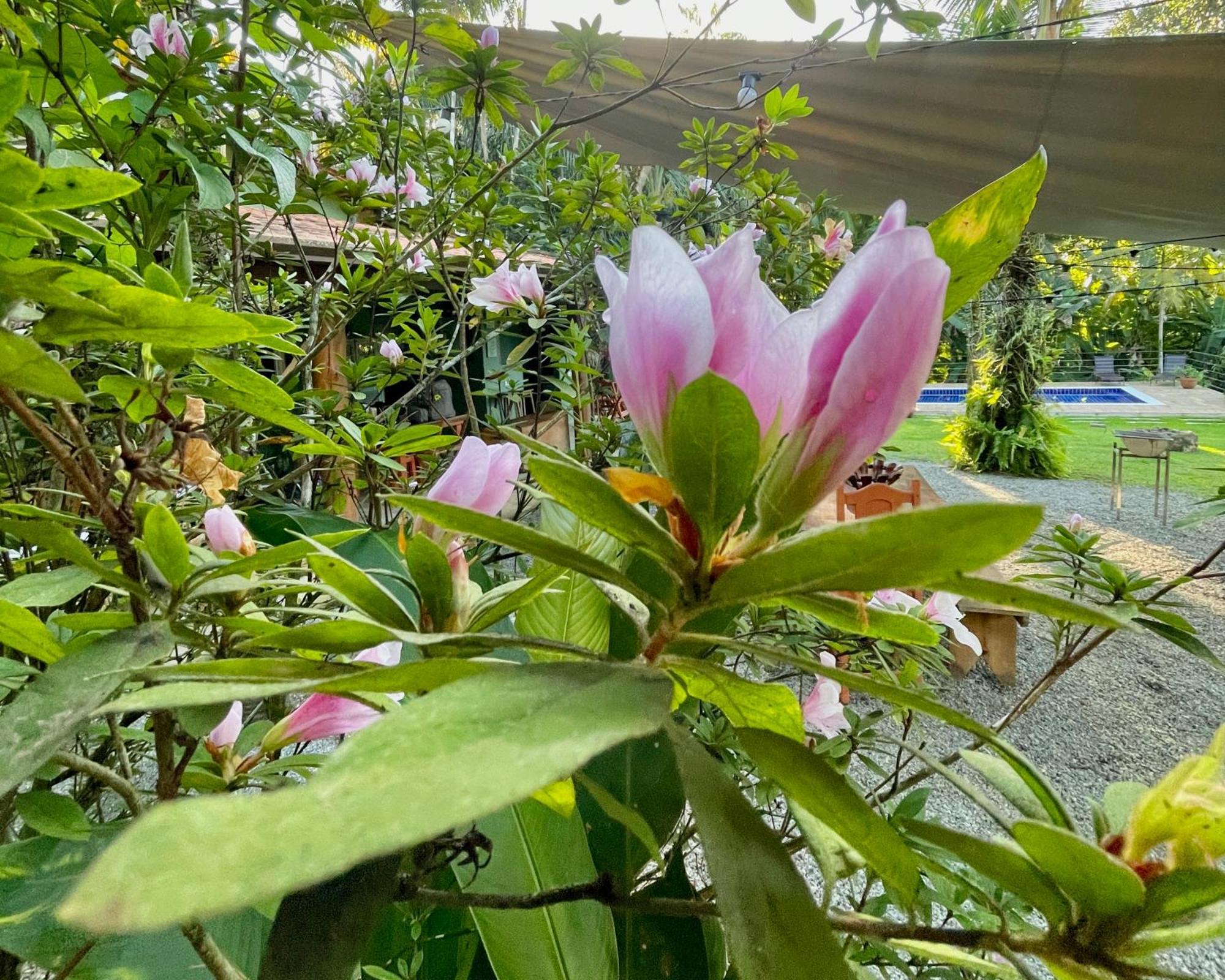 帕拉蒂Casa Park别墅 外观 照片