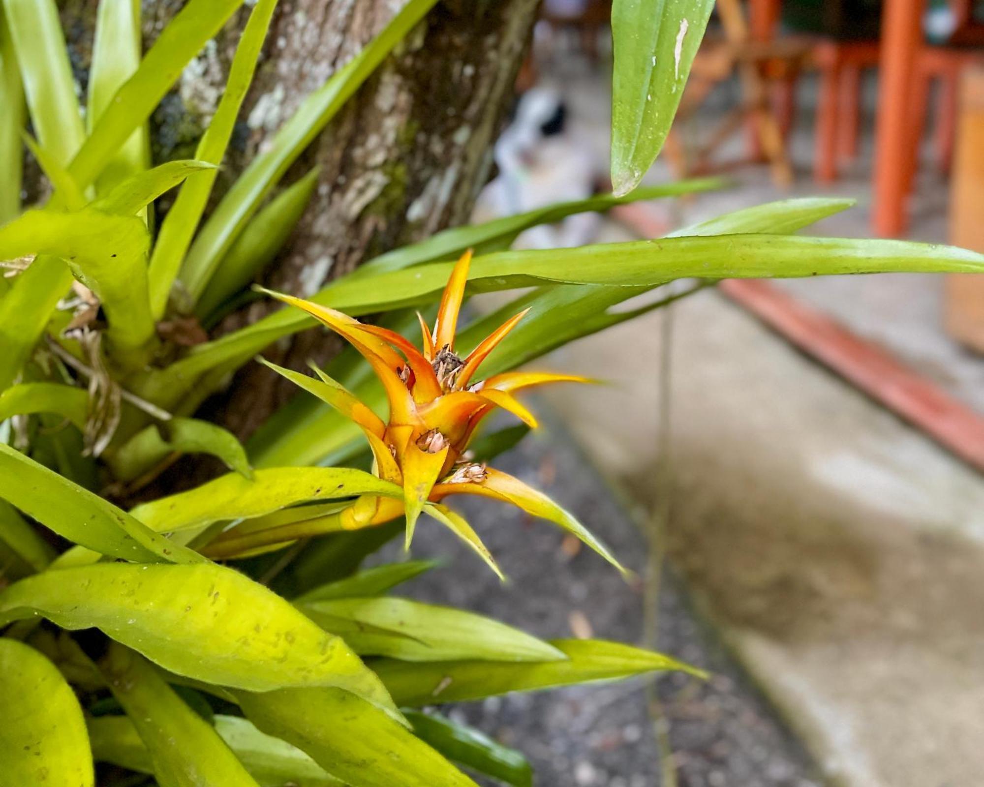 帕拉蒂Casa Park别墅 外观 照片