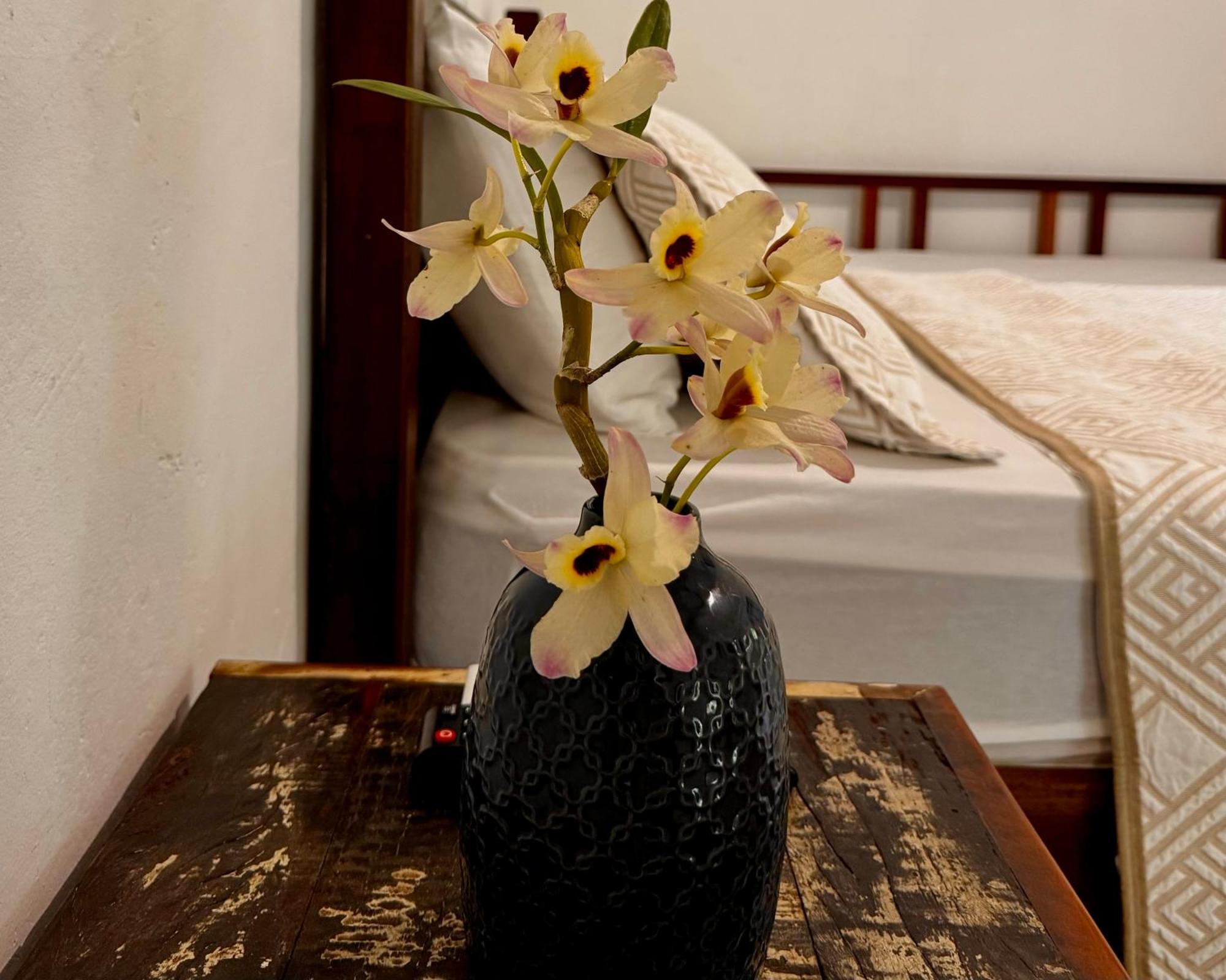 帕拉蒂Casa Park别墅 客房 照片